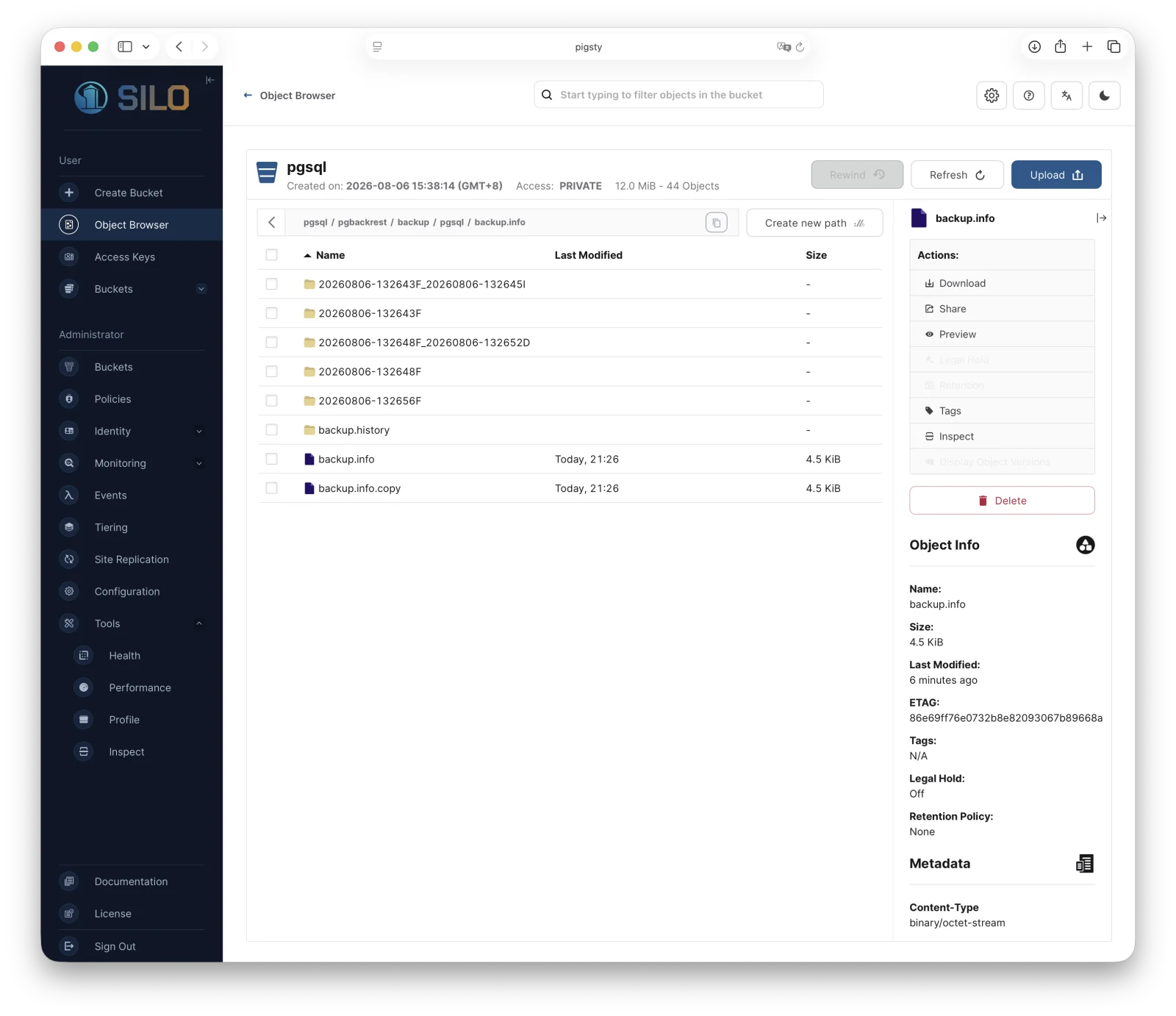 MinIO Console Landing Page provides a view of the Object Browser for the authenticated user